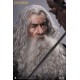 Lord Of The Rings The Fellowship of The Ring Gandalf 1/6 Scale Action Figure